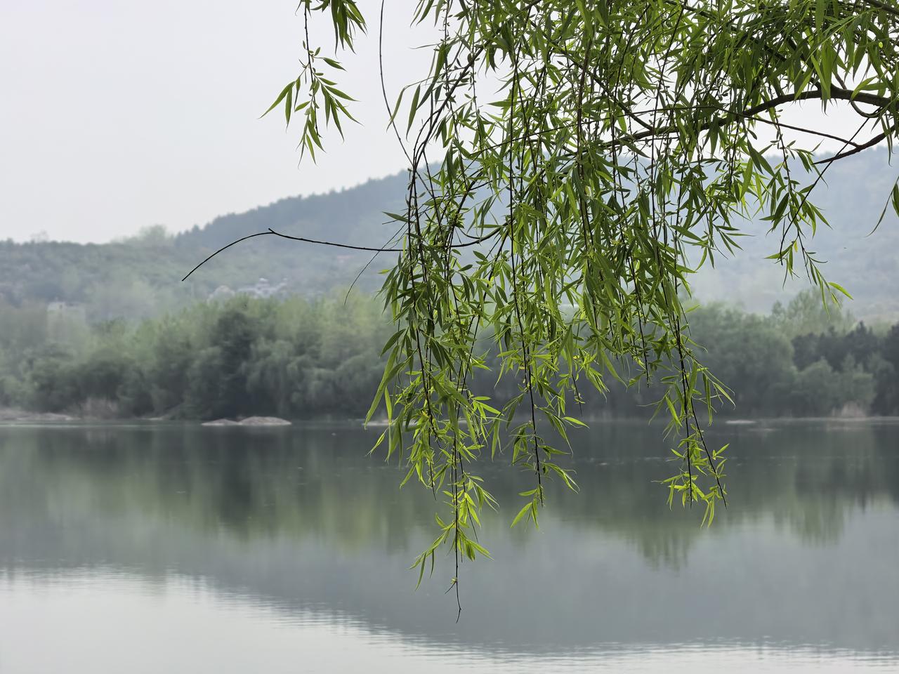 圣人成仙以后，生活方式与个人心态都会发生明显的改变。其中一个重要的事情，就是圣人