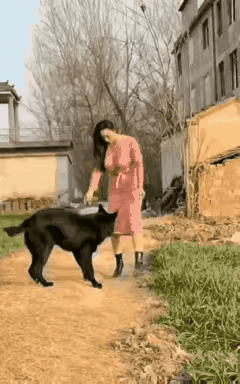 这狗是真的好，还有这么好的女孩子陪着玩
终于知道有人养狗狗的原因了，居家过日子养