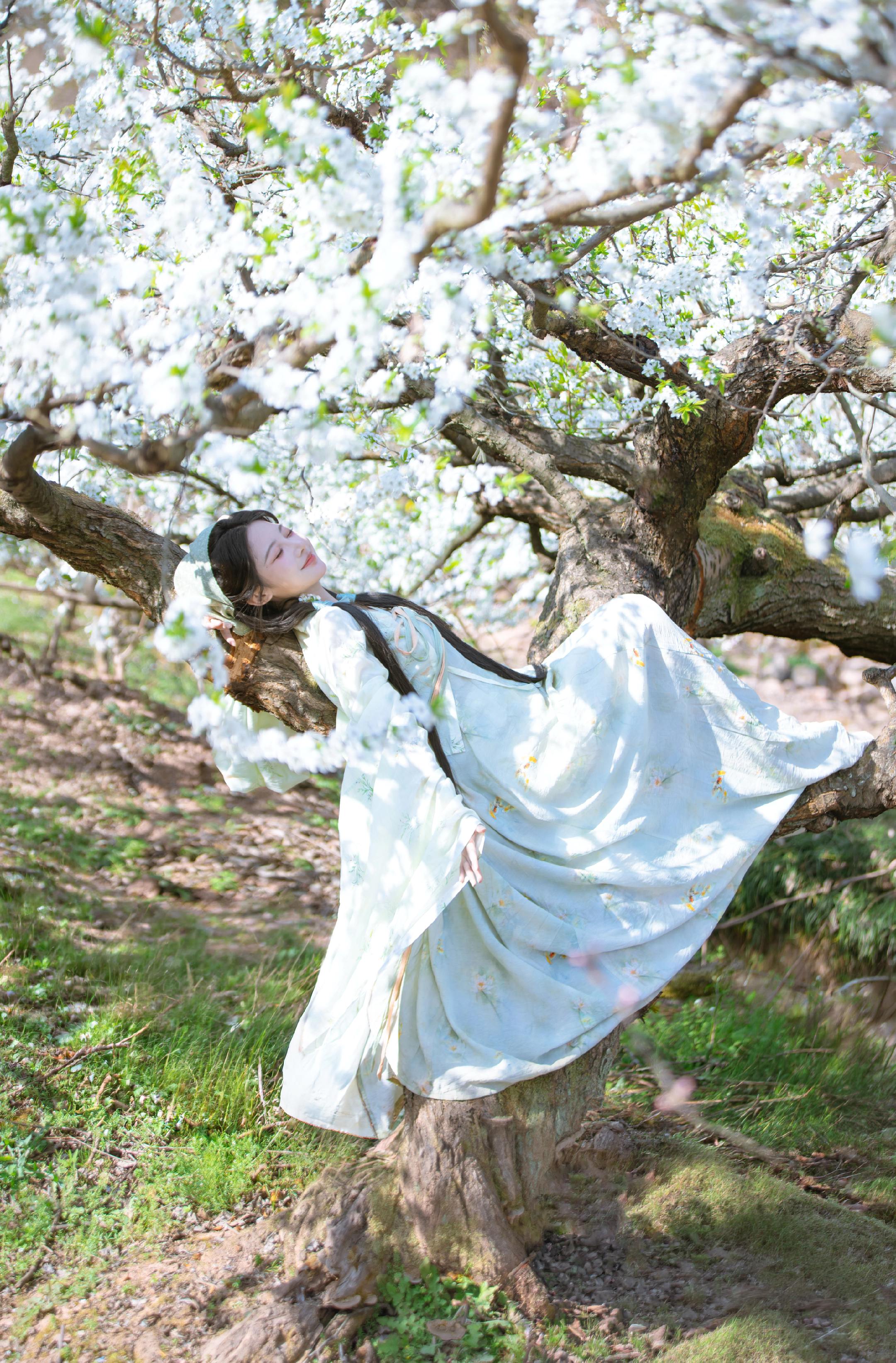 落花时节又逢君～摄影：本人 出镜