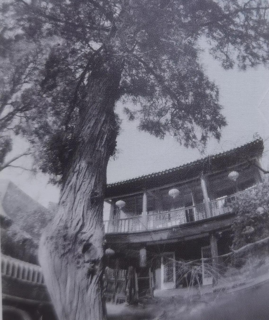这是呼和浩特市的两张老建筑照片。大家看一下是哪里，看我说的对不对。图一是中山西路
