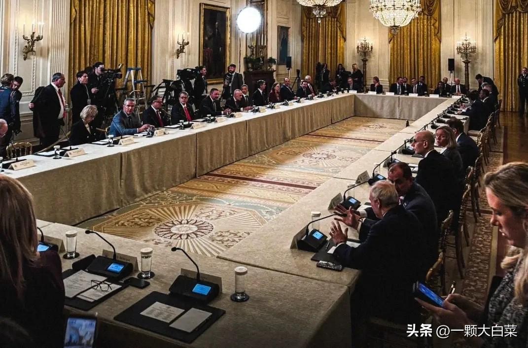 特朗普召集全美军火商开会，下令火速扩产精确制导武器，对中方提供稀土充满自信！
