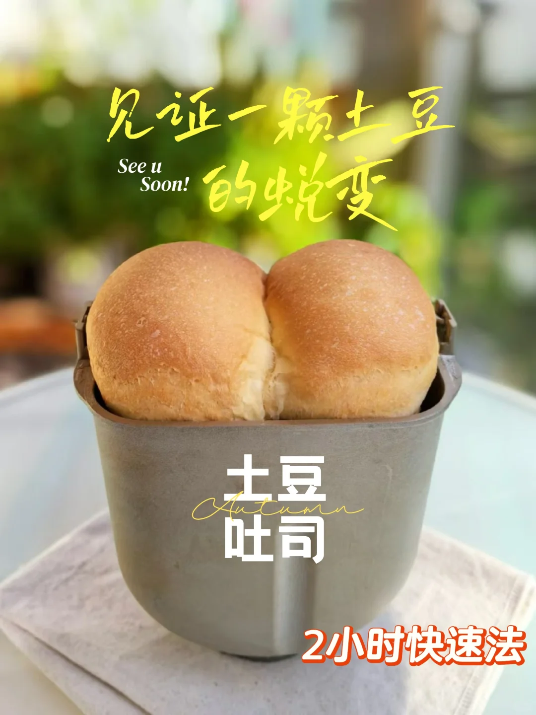 面包机2小时做土豆🥔吐司，不输北海道！