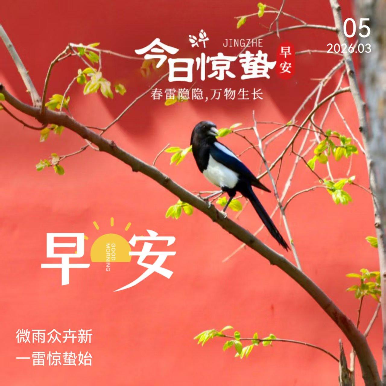 惊蛰

未醒的虫鸣在暗处蜷缩
一道微光劈开冬的硬壳

雷声在云层里试音
未落下的