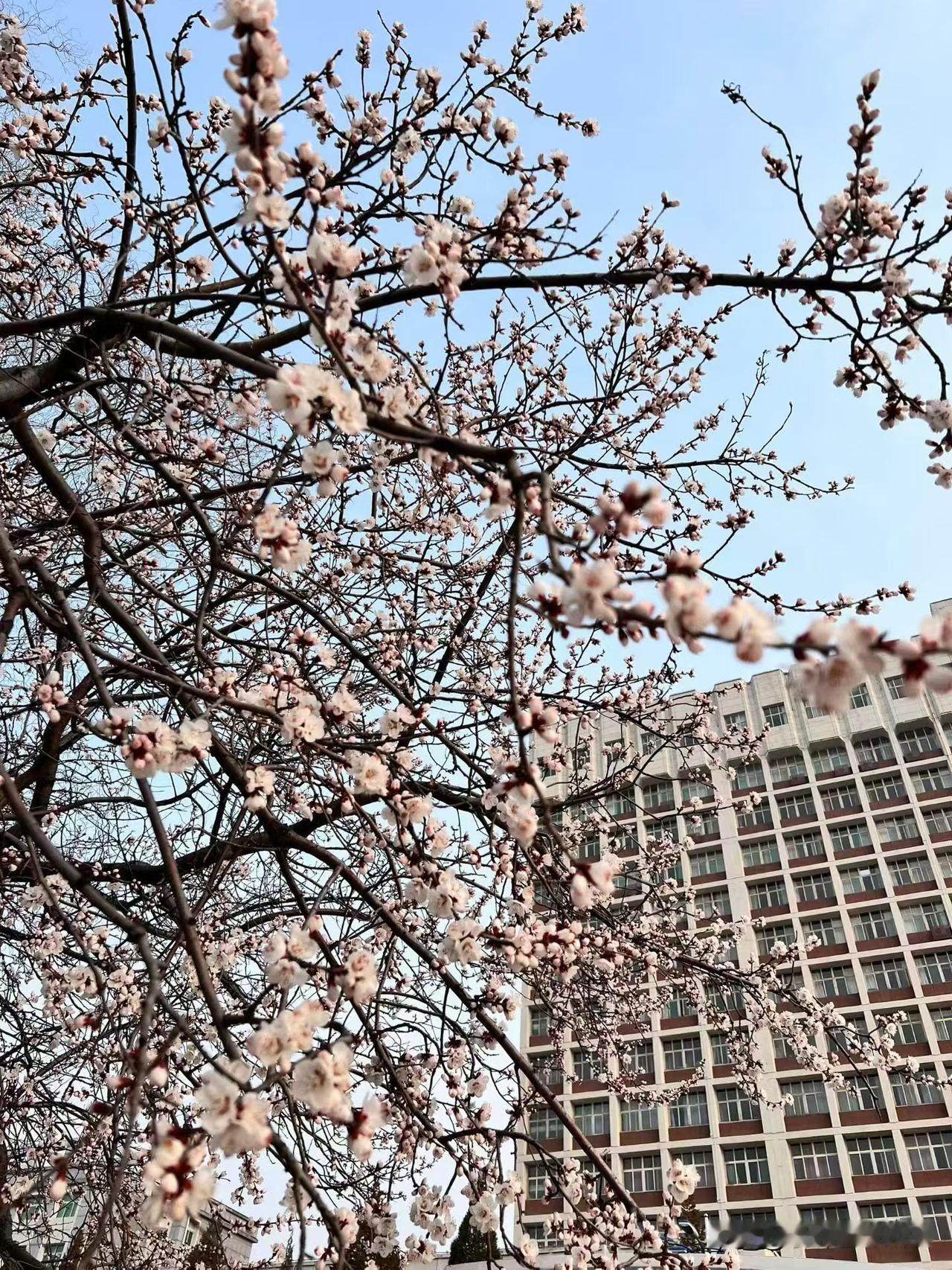 [捂脸]今天忙了一上午，下午空闲时间和同事聊天，他说他外甥女考入了当地一家国企，