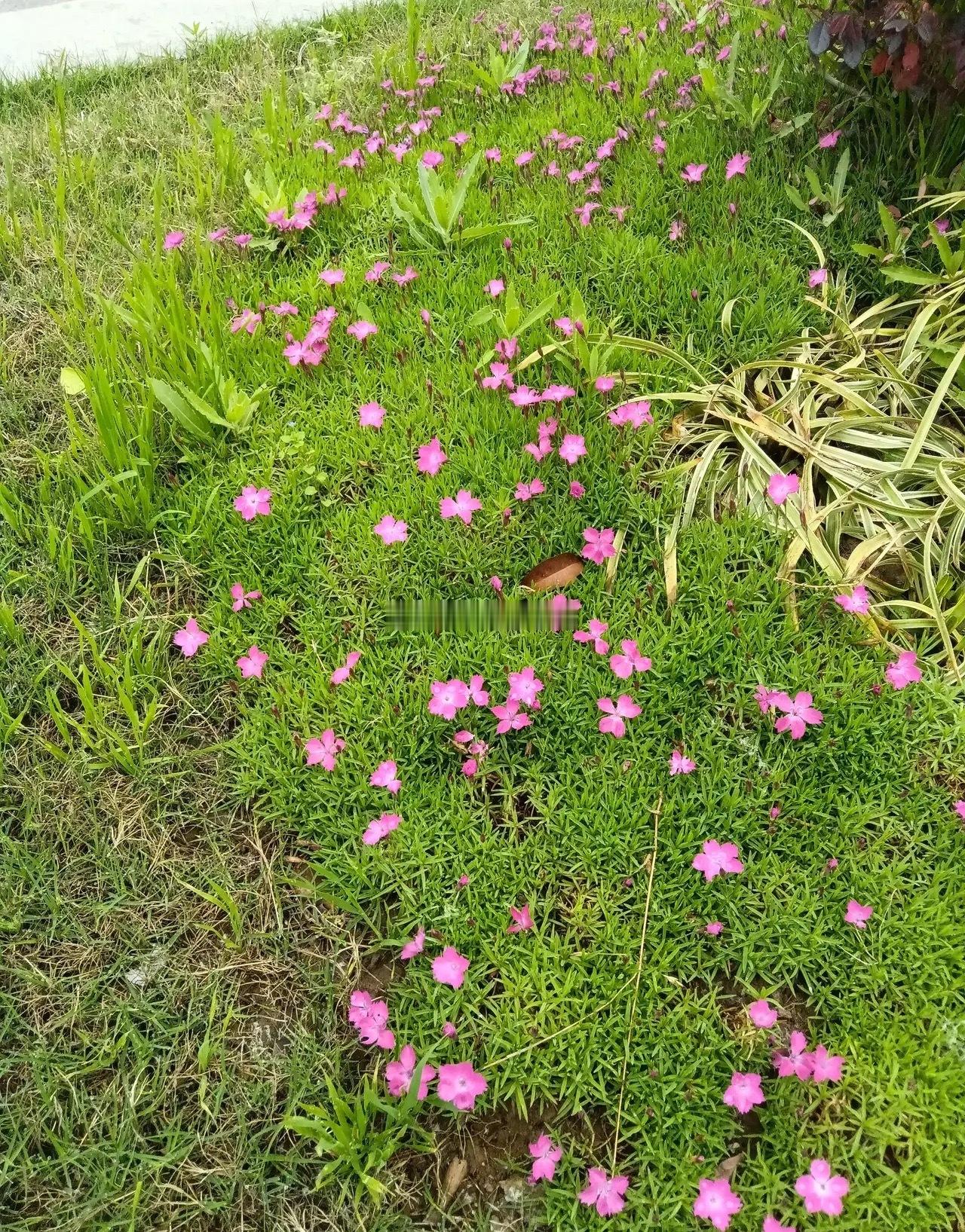 炒股就是凭运气！炒股，其实运气的成份很大！赚钱了那是你运气好！亏钱了，说明运气不