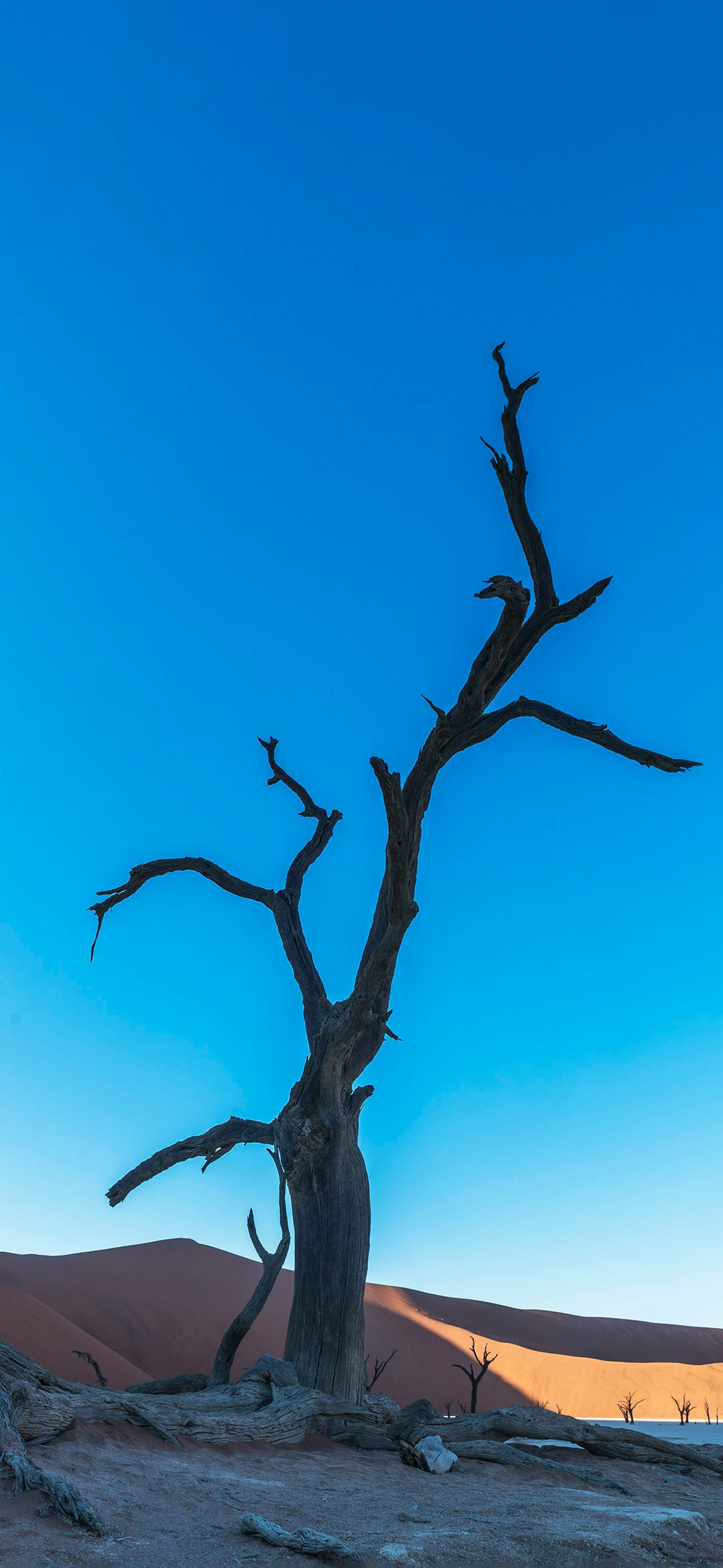 莱分享 今日 iPhone 壁纸分享 