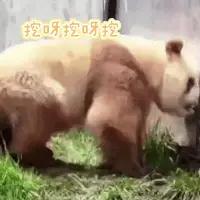 挖出了军国主义的毒源，就一目了然看透了当前在干什么，有什么野心，未来的日子里它会