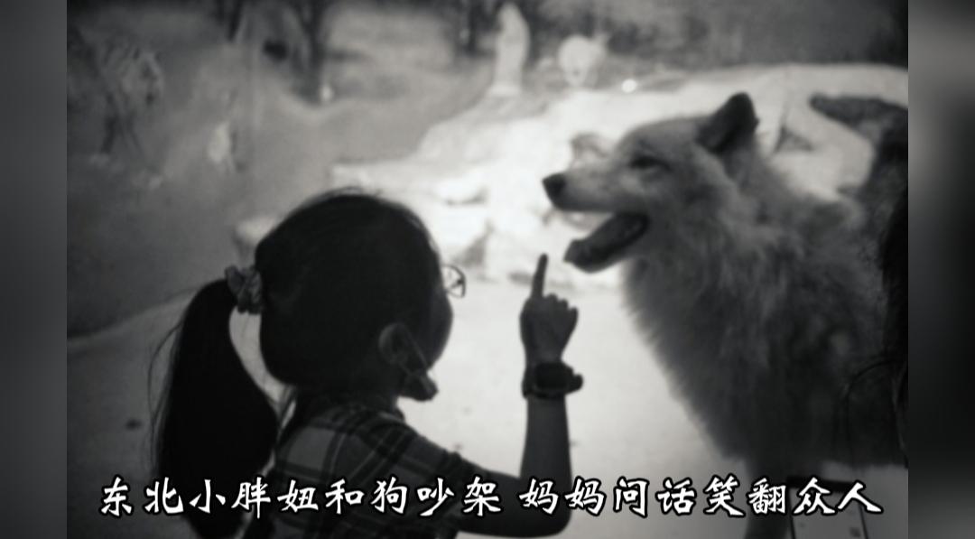 笑不活了！东北小胖妞站在原地跟狗狗激烈“吵架”，妈妈随口一问，瞬间逗乐众多网友。