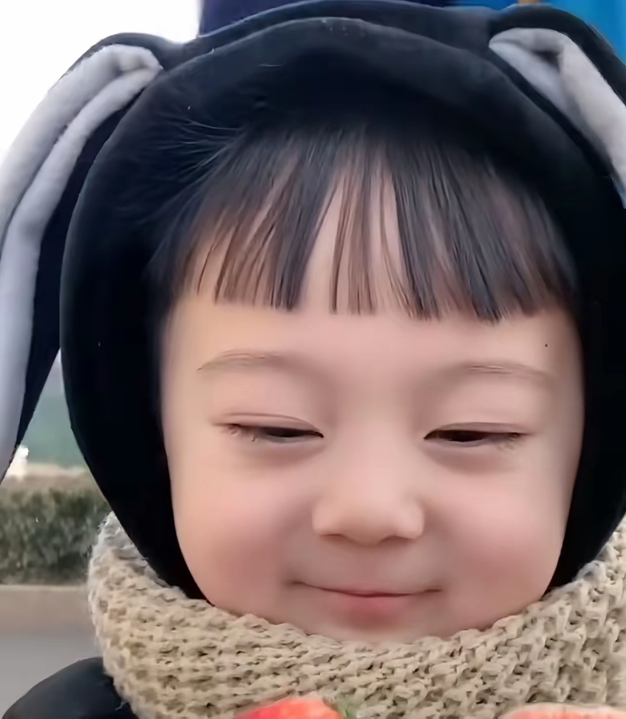 分享图片 