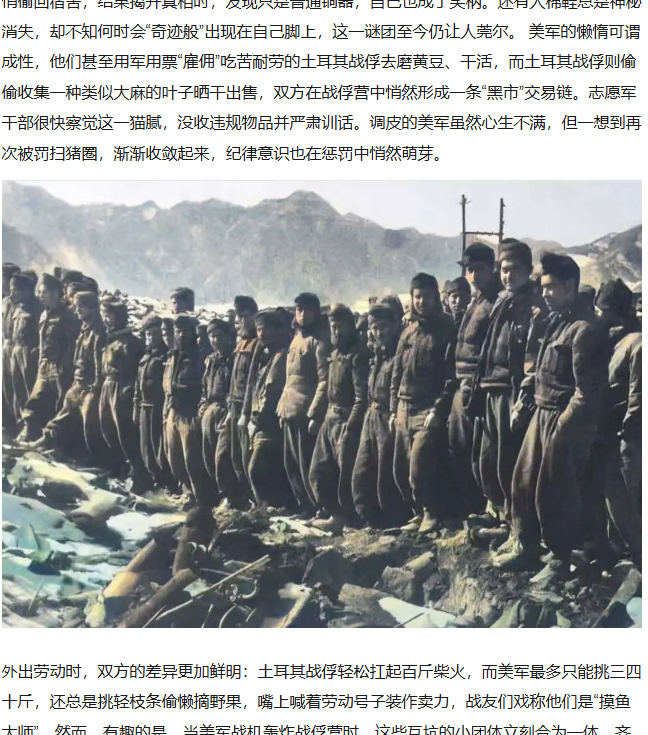 志愿军碧潼战俘营往事：美囯佬入住之后不久就在山上发现了野生大麻，迅速形成了稳定的