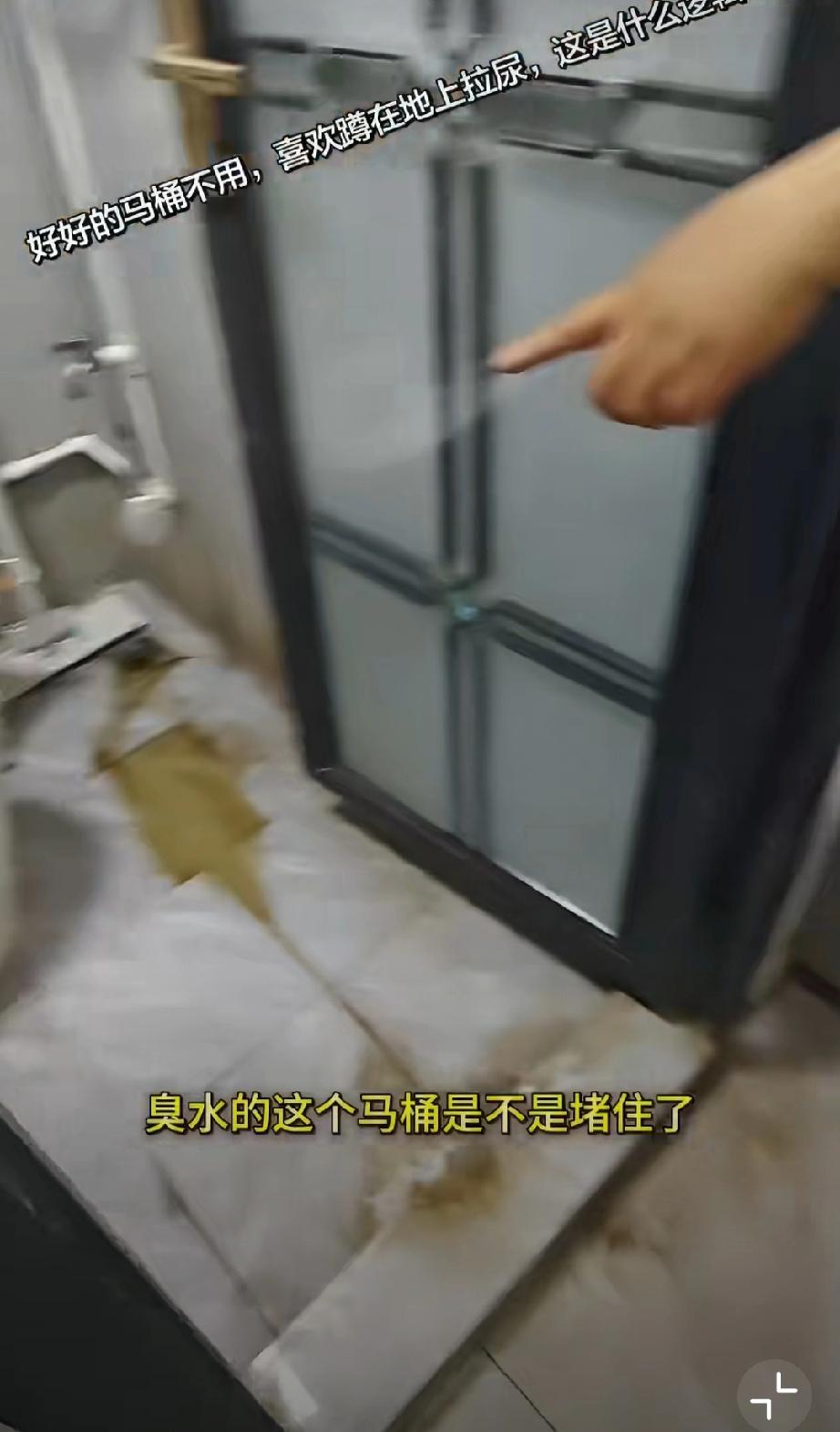 居然还有这种嗜好的女生：好好的马桶不用，非要蹲在地上小便，弄得满地都是虫子，看着