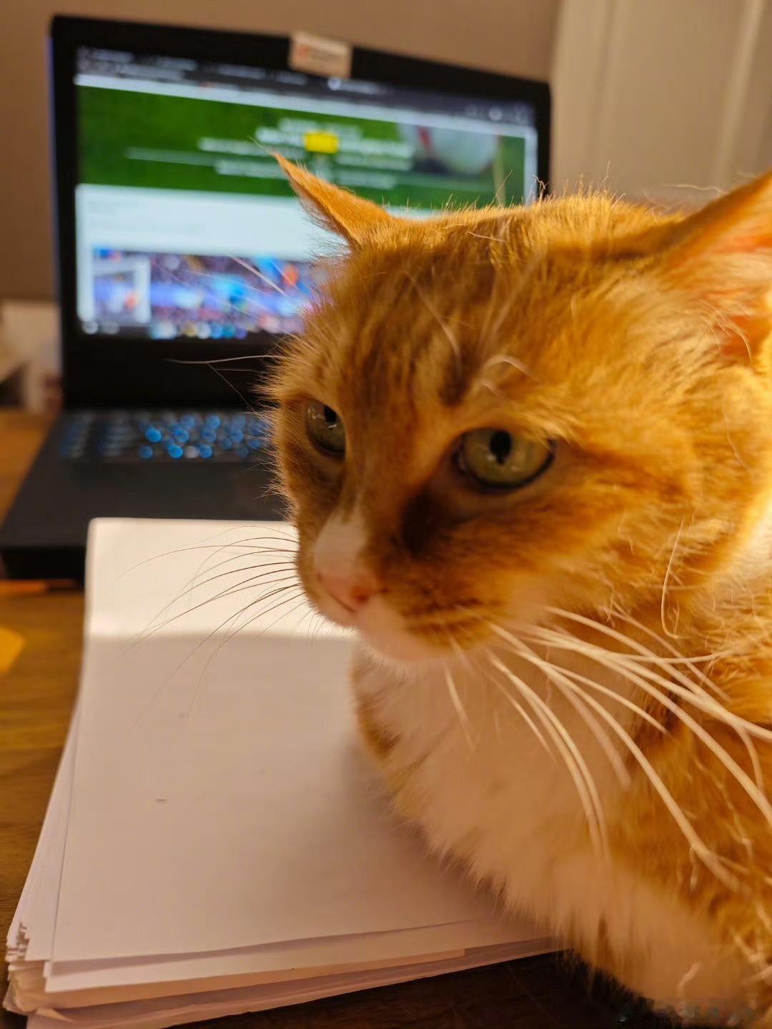 在咪咕视频做一场线下的解说，比赛是英超第六轮的布伦特福德VS曼联。第二天就要赶回