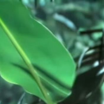 每日一善💤 阳光信用 0000每一个人都可以成为生活中的阳光。用我们的微笑、用