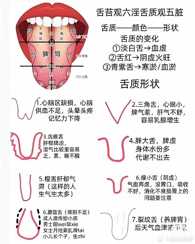 异功散、定风丹、二至丸组成的生发饮治疗脱脱发是临床常见的皮肤病，现代医学将脱发分