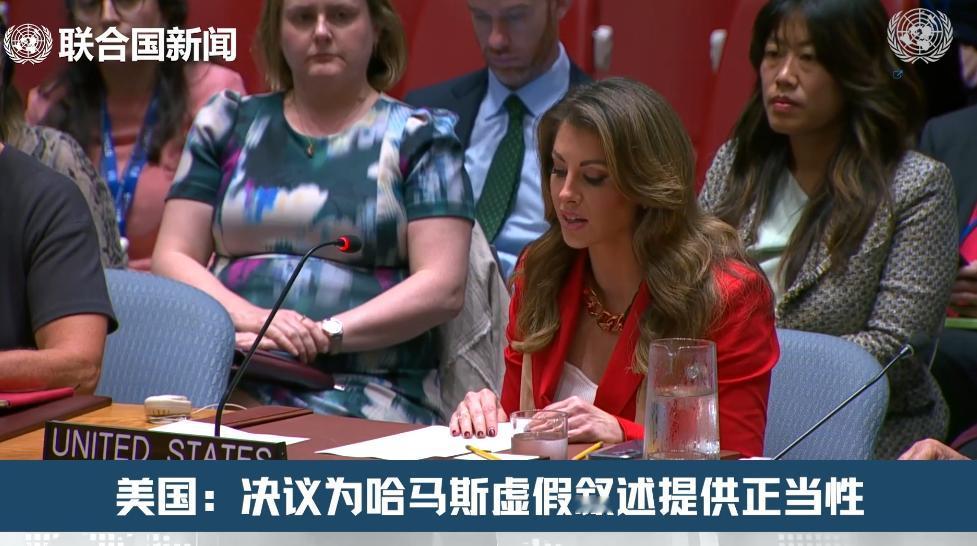 英法与中俄达成一致，死鸭子嘴硬的美国，在安理会上1“喷”14


昨天，一份涉及