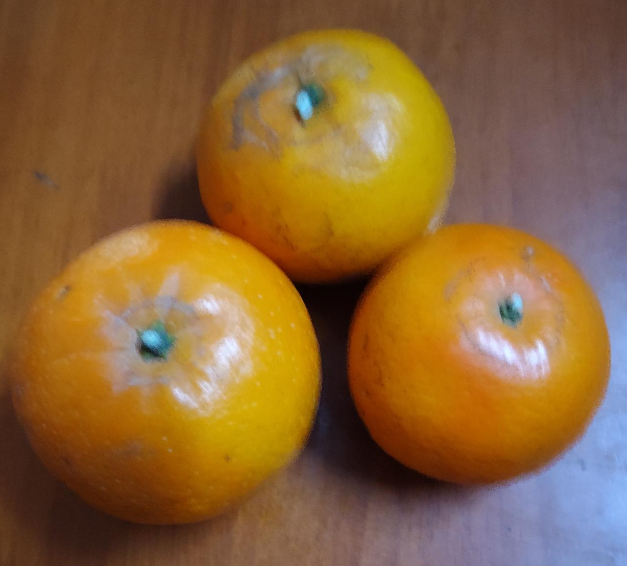 不知道该叫它橙子还是叫它橘子？你说它是橙子嘛！它又可以剥皮，果肉还可以分瓣，而橙