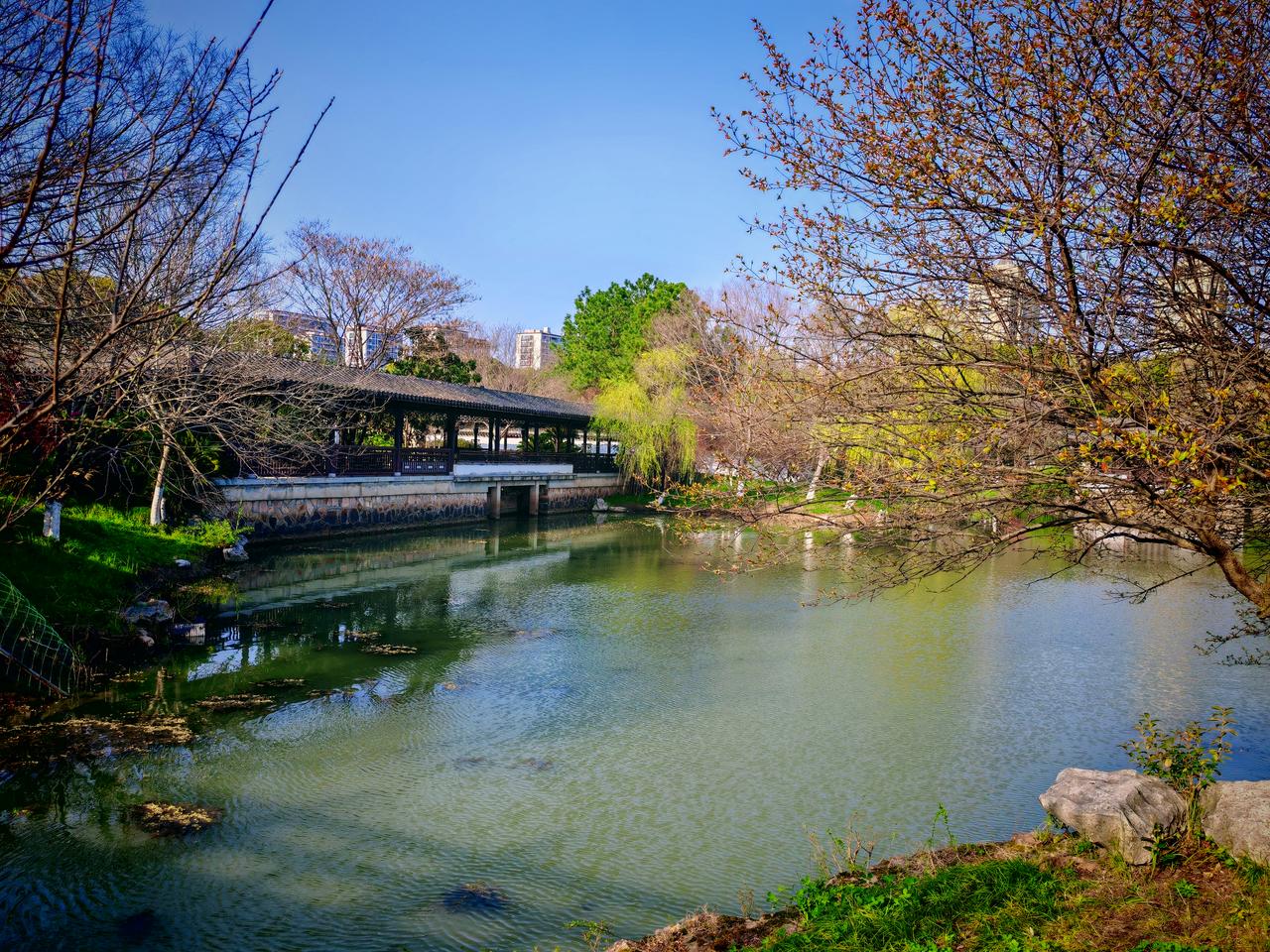 春日生活打卡季