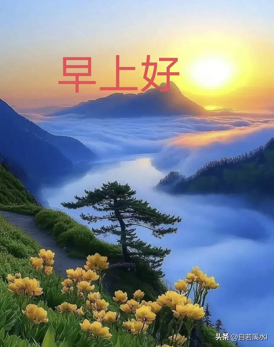 迎着朝阳出发，揣着福气度日，岁岁安康，事事顺心。