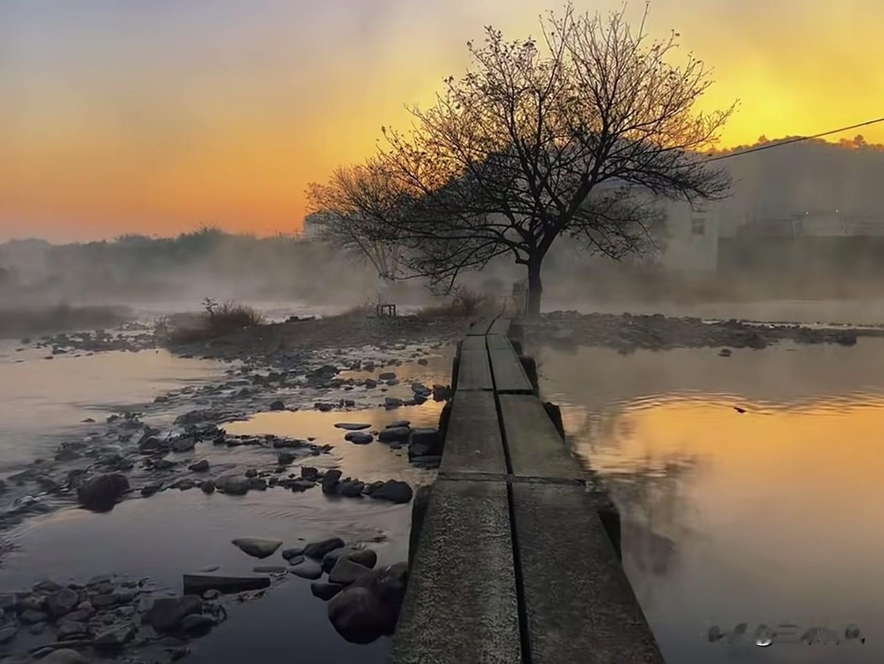 初光一缕镀金崖，
石溪水潺抚轻纱。
板桥轻依初冬树，
野径相邀至田家。