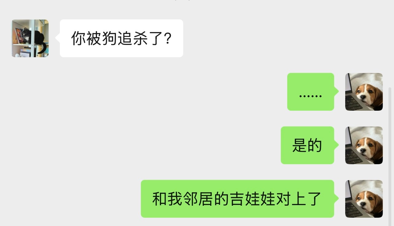 实在住太近了么一举一动尽在侦查范围内 