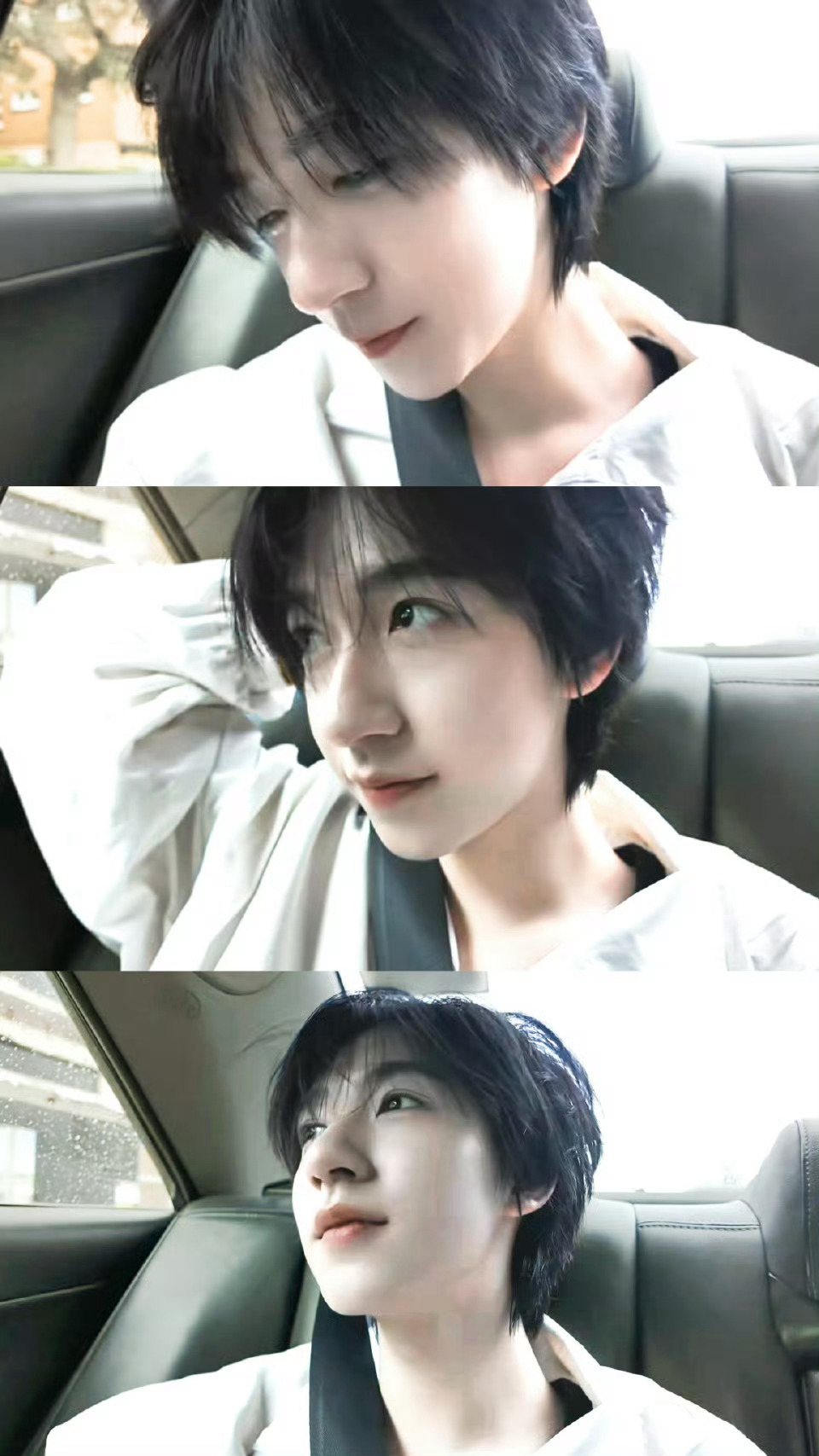 我家爱豆说啥了 “顺便，希望面包和玫瑰，和所有你本应该得到的一切，都被你理直气壮