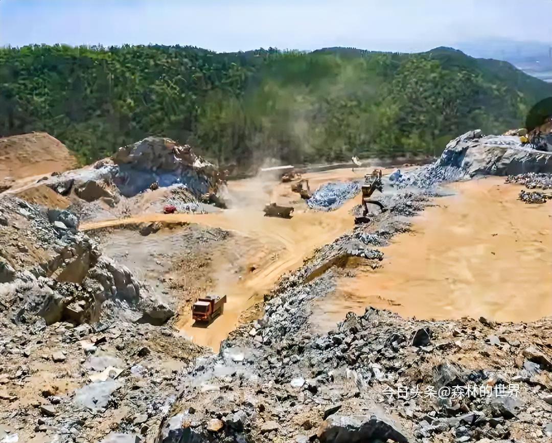 世界能源理事会主席喊印度当“稀土加工领导者”，这口号听着霸气，印度手握690万吨