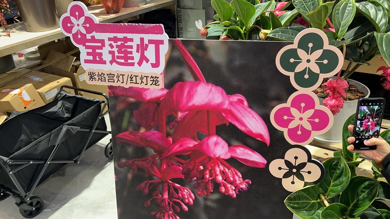 现在真正的兜底资产，老百姓账户里有吗？
如今普通老百姓生个大病，老了失能，都没有