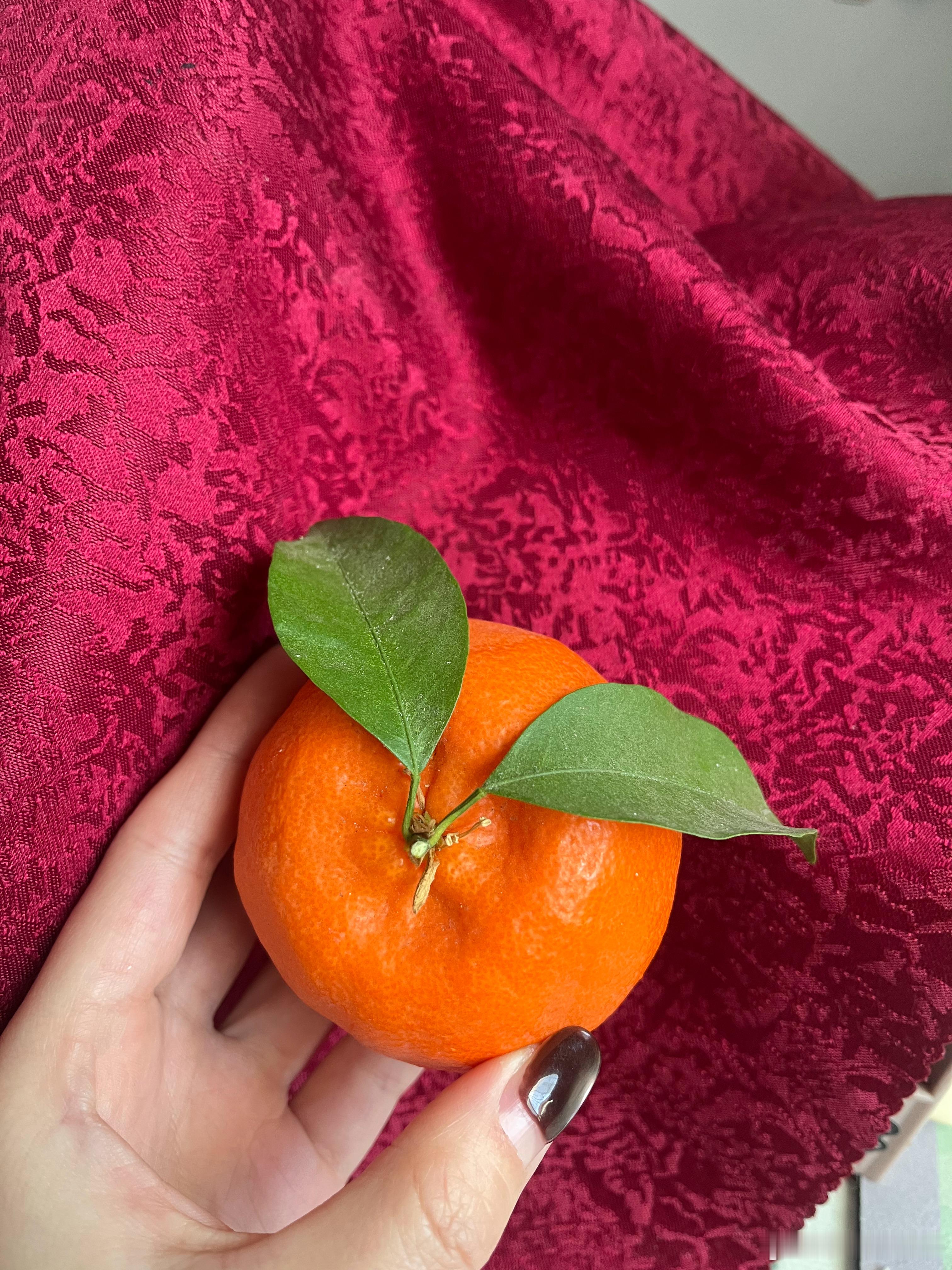 这橘子长得可真橘子