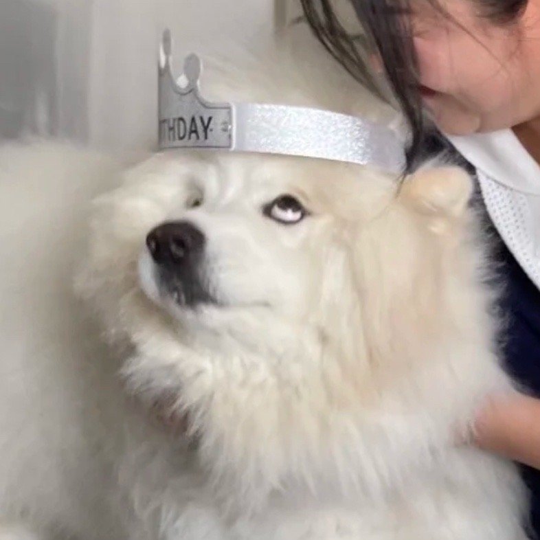 日常的路人a 糟糕睡醒了…… ​​​