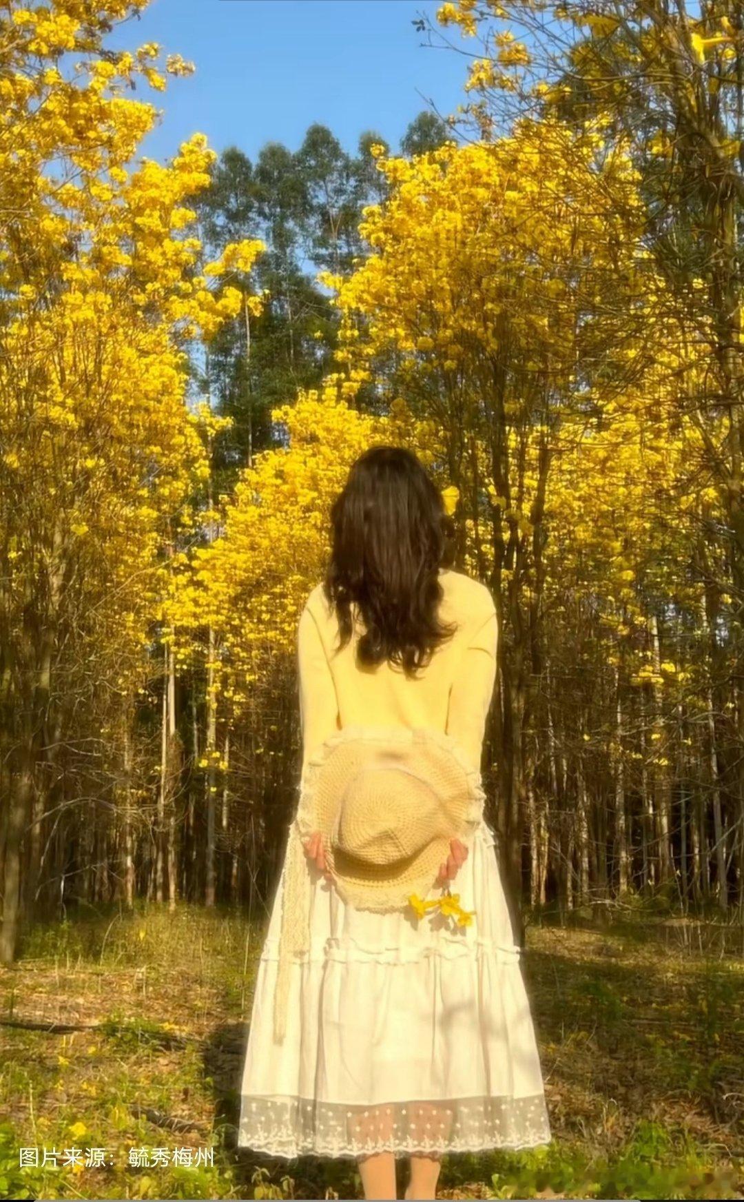 早安 很多事都可以像种植一样：悉心付出，顺应天时，给自己的心剪除杂草，然后耐心等