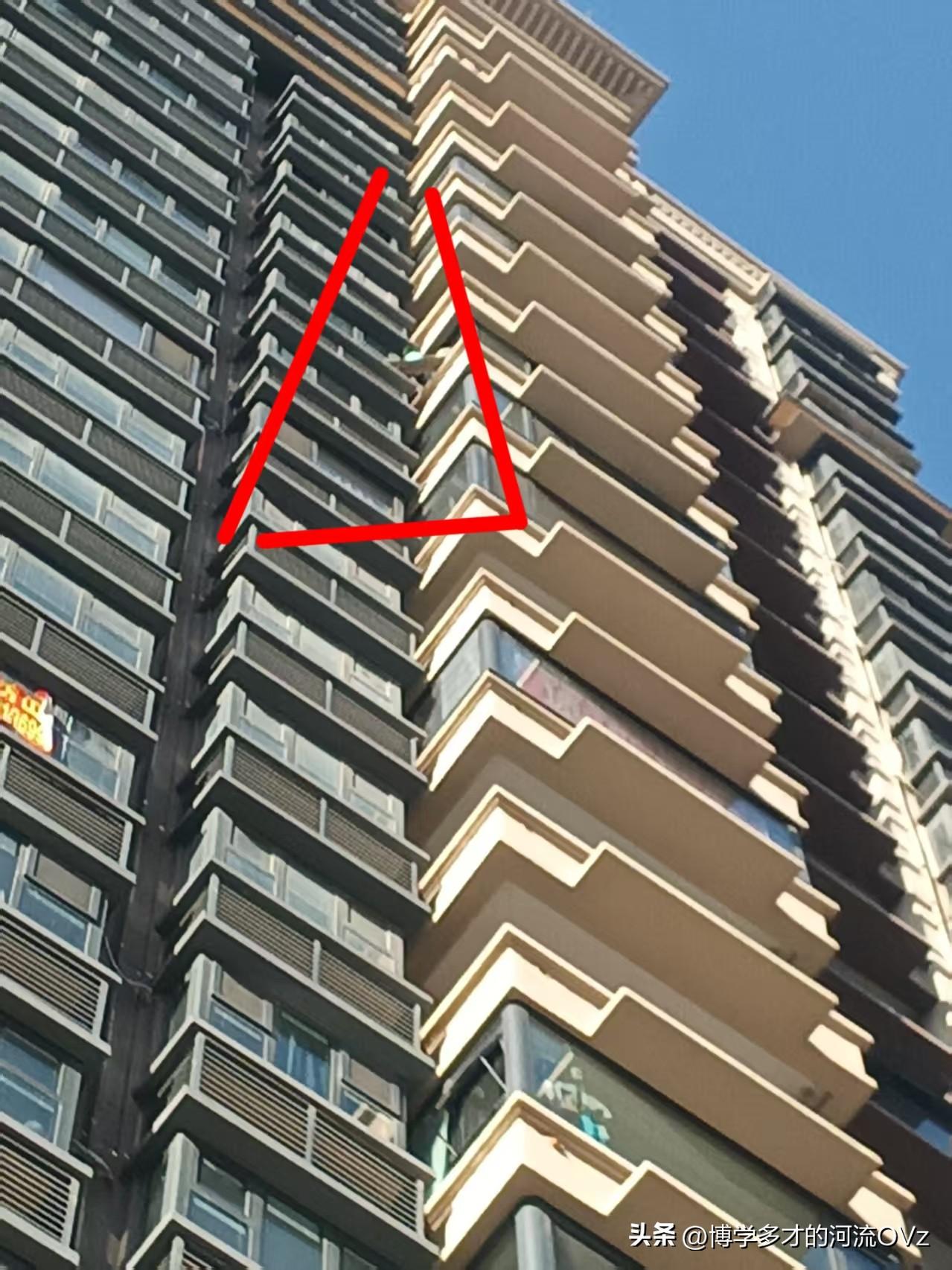 今天是金碧物业走后的第127天，大明物业的第35天。

高空阳台外搭花架，看起来