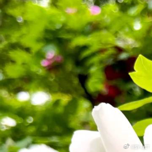 每日一善每日一善 人生的路经历过，才知道有短有长；岁月，在无憾中微笑，才美丽；回