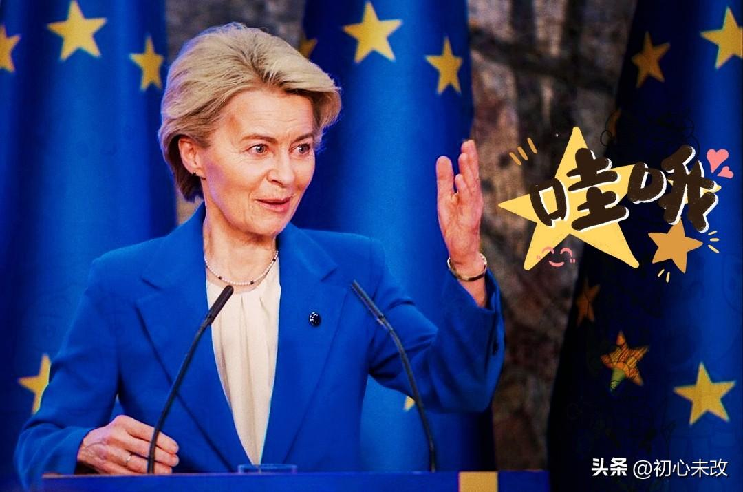 欧盟委员会主席表态了
3月9日，冯德莱恩谈伊朗问题时表示，欧洲必须认清现实，不能