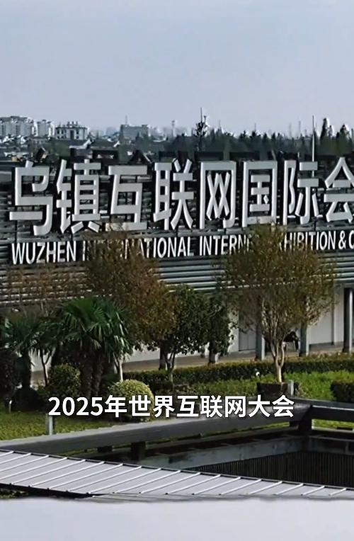 当千年乌镇遇见人工智能：互联网大会十年，科幻照进柴米油盐。
 
浙江乌镇这场持续