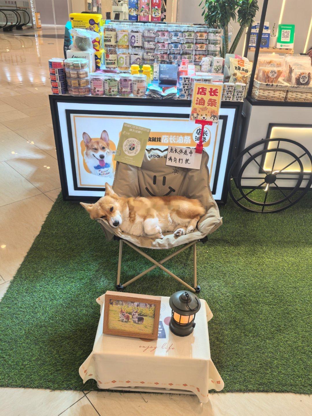 好懒的店长 ​​​