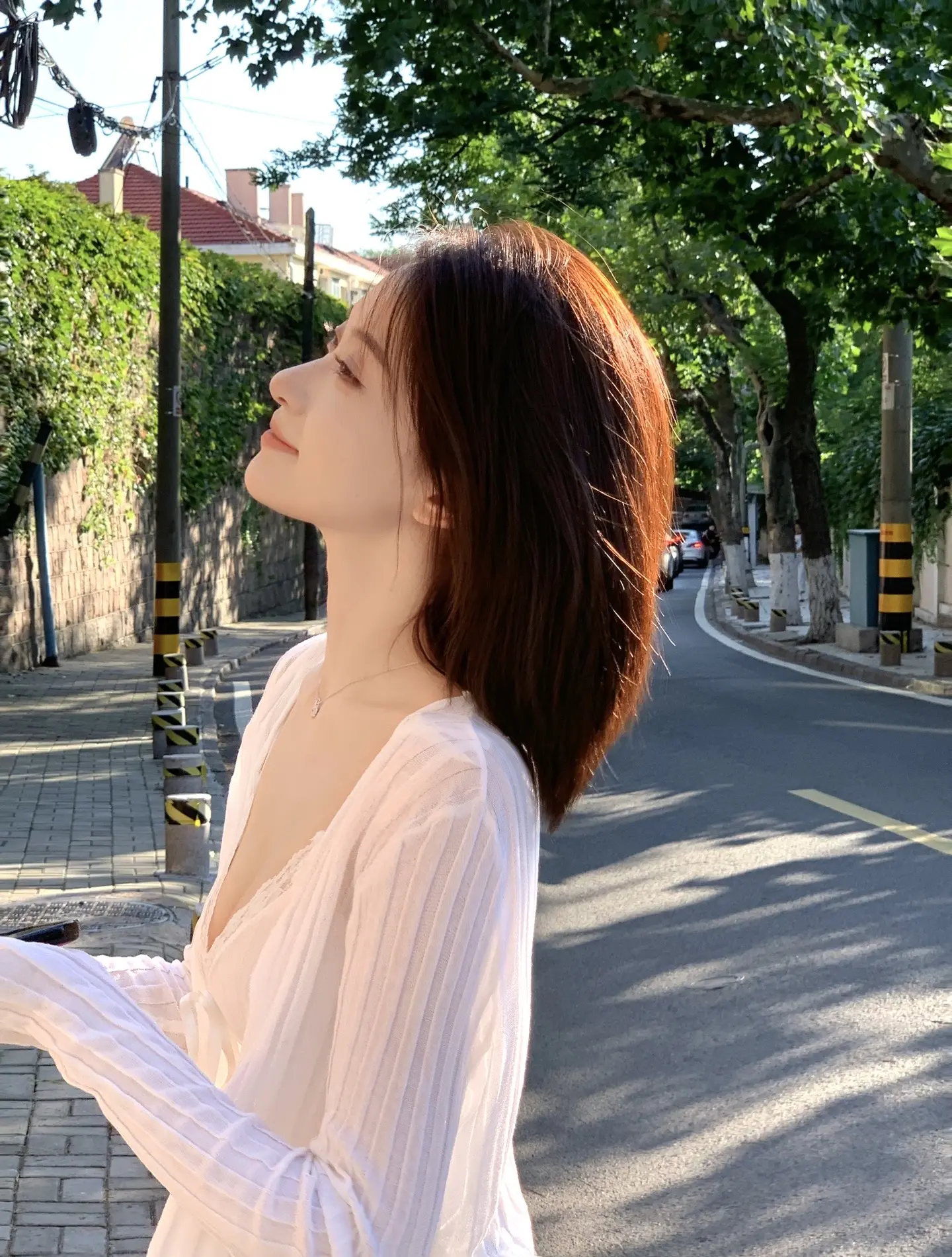 就在昨天 爱悄然离线
