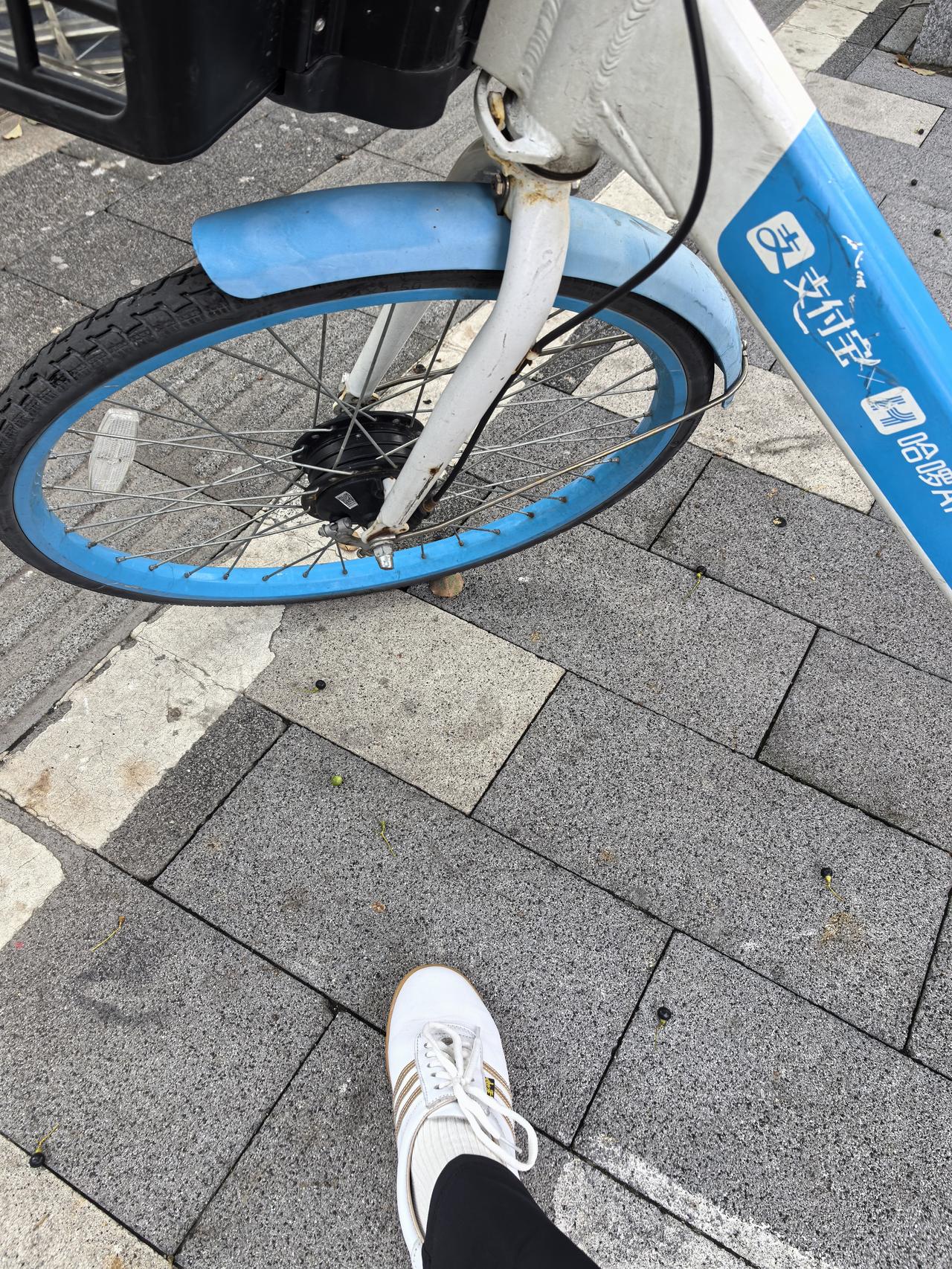 开学第一课，一半学员请假了
      今天是老年大学太极拳课开学第一课，放假两