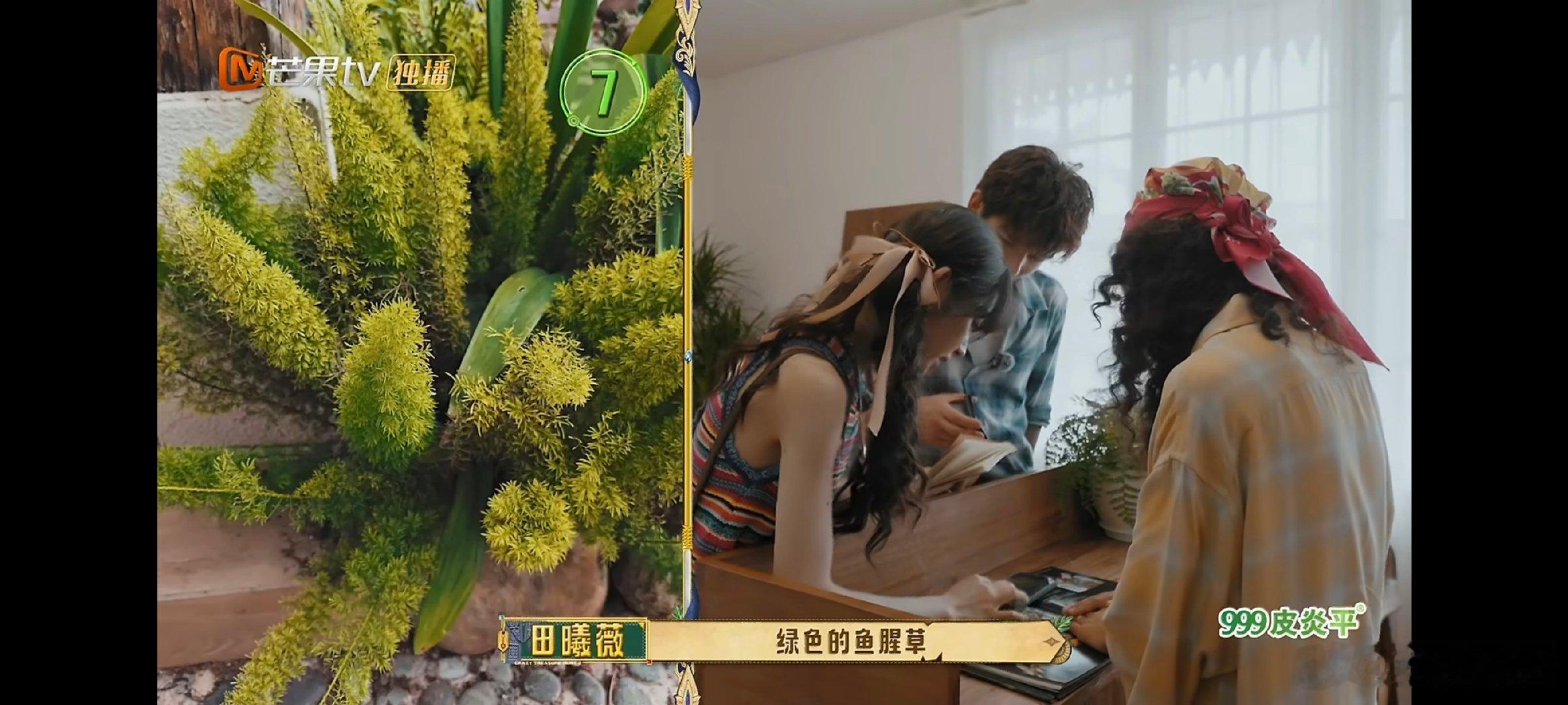 田曦薇拍照讲究的就是效率思路清晰知道要拍什么，不会漫无目的随意闲逛 