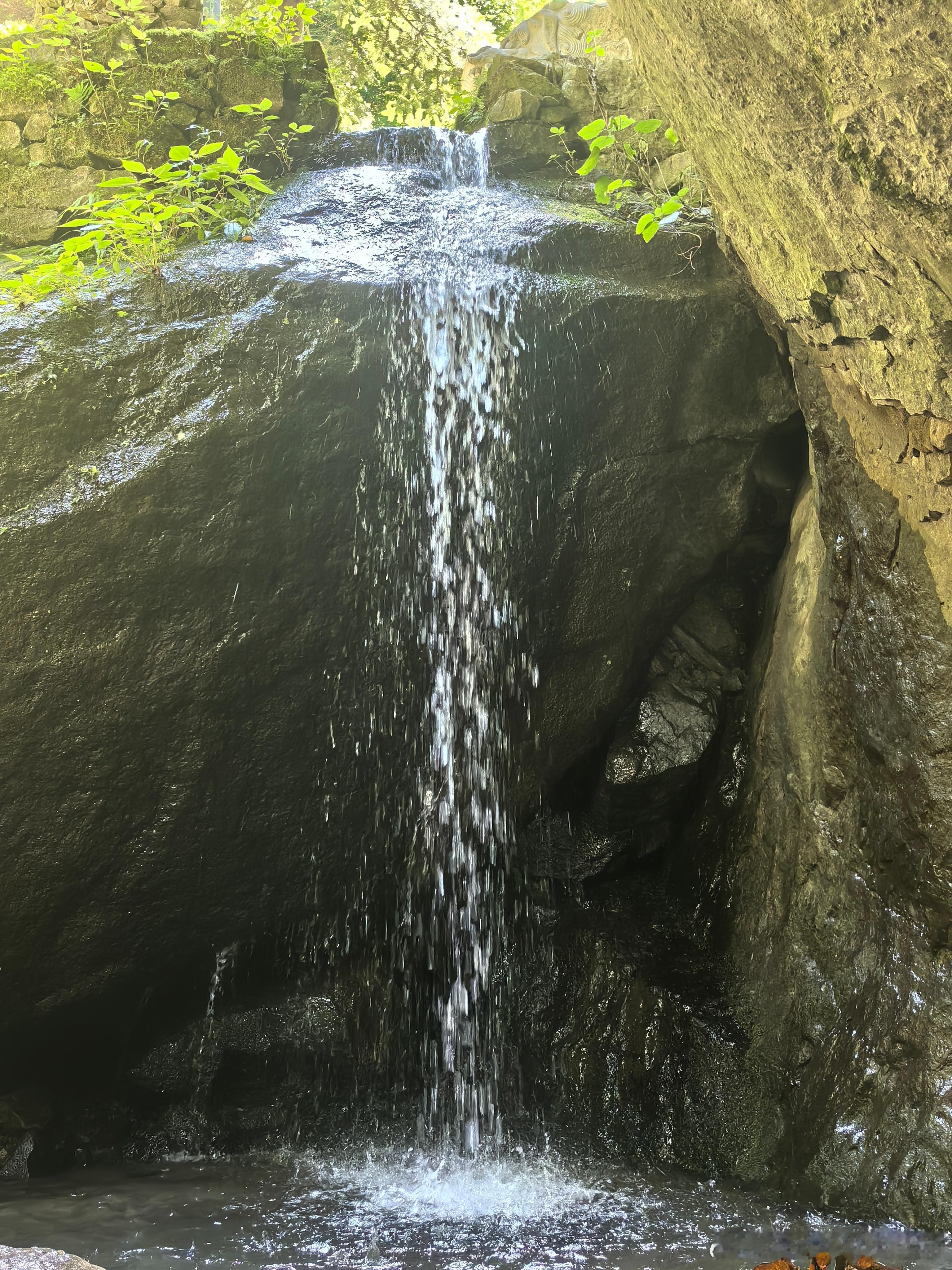 最近睡眠又有些差，半夜醒来久久不能入睡，比如今晨，梦到身边一朵鲜红的玫瑰，悄然绽