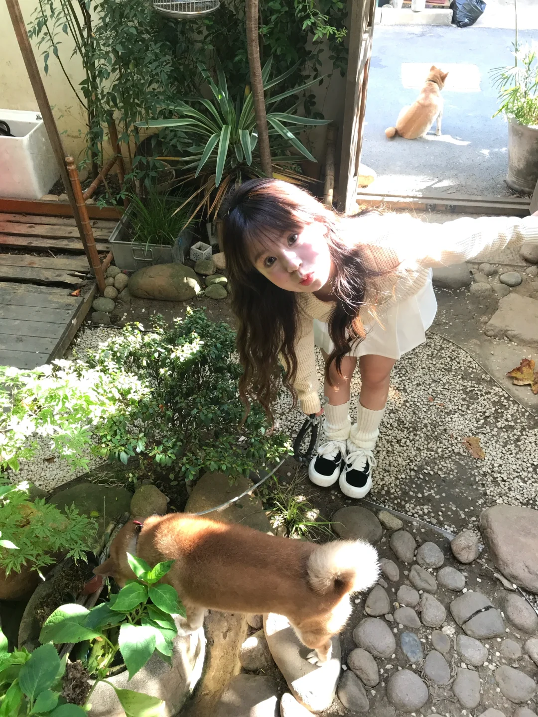 小狗日记🐕
