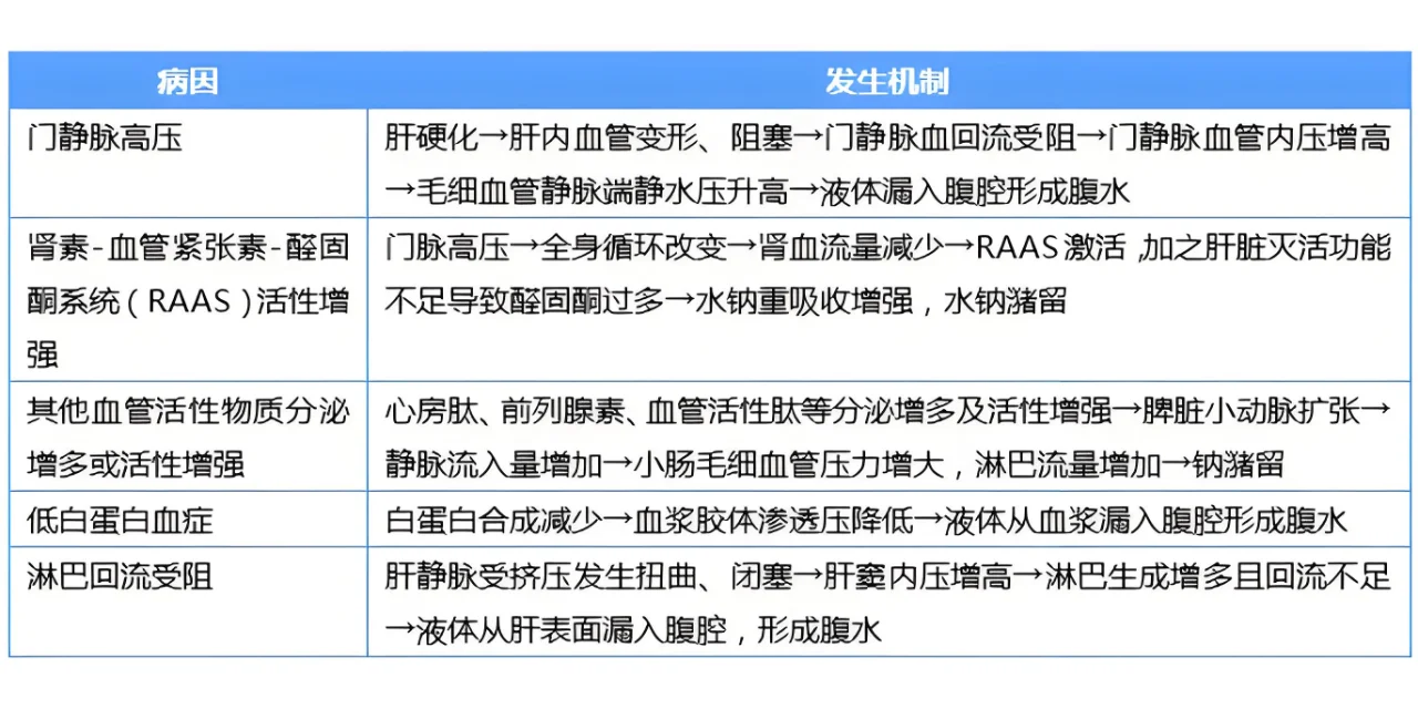 为什么肝硬化会导致腹水？