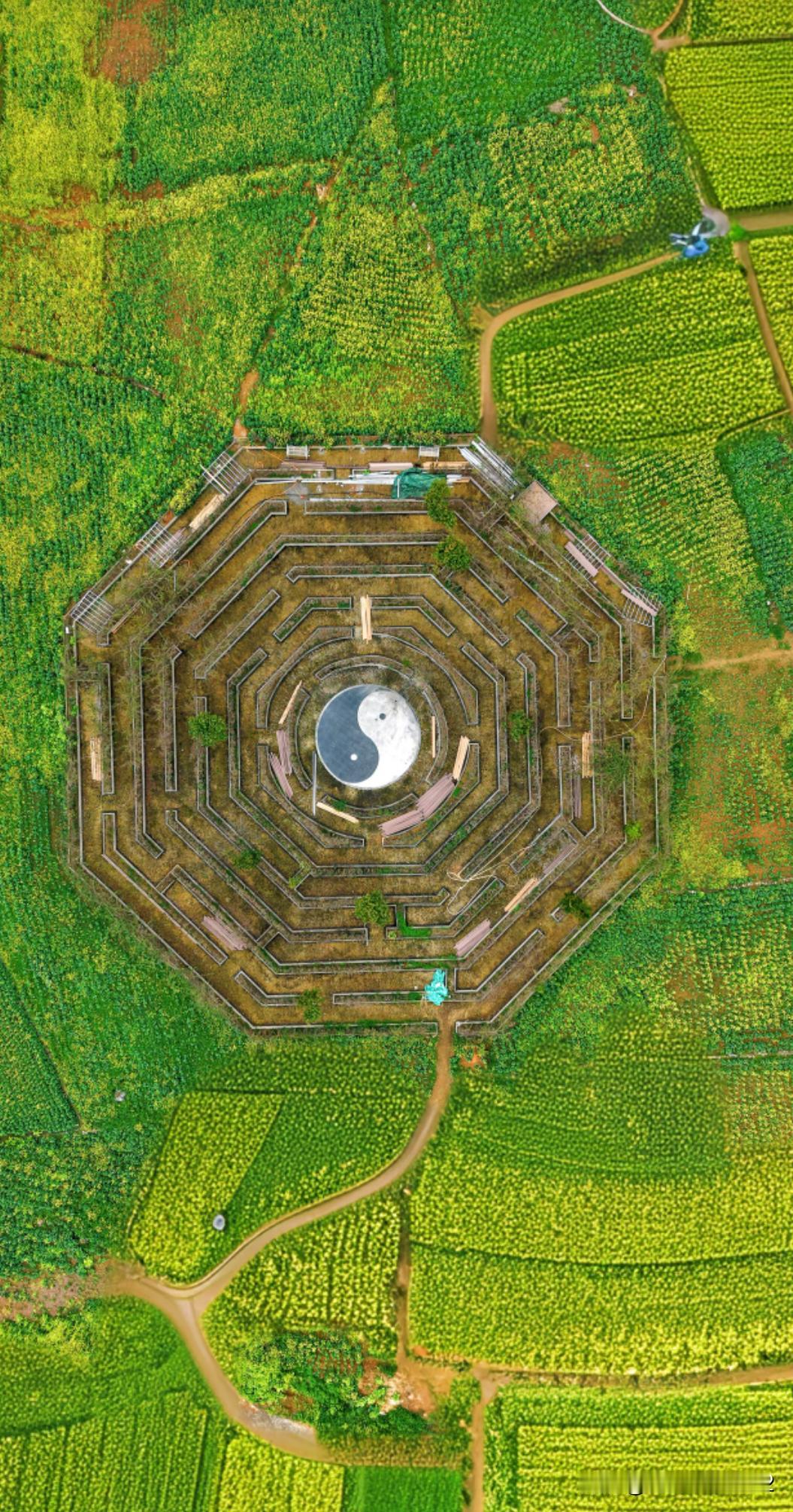 大家快来吧！春节必去！国内最早的春天赏花！太美了！贵州兴义万峰林，大片油菜花任你