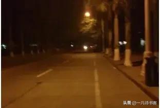 仄韵五排/凌晨打滴滴赴衡水北站简记
佳人开滴滴，娇小如杨幂。
面罩露明眸，柔荑肤