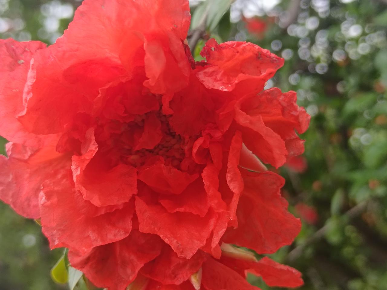 读书的最大意义是什么