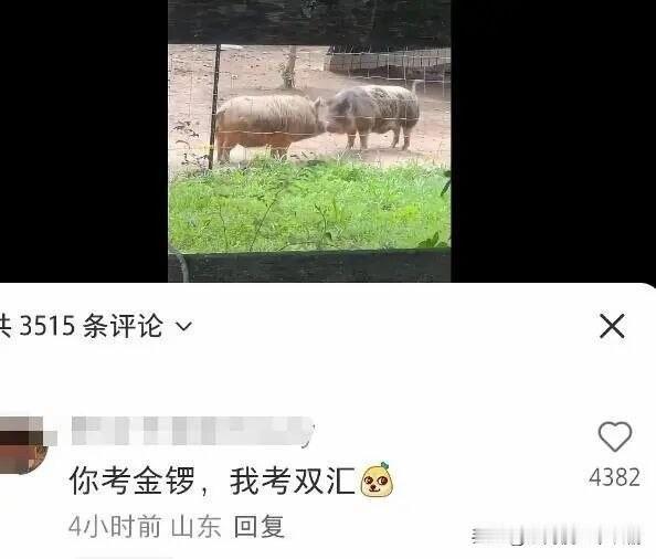 猪届的顶级学历