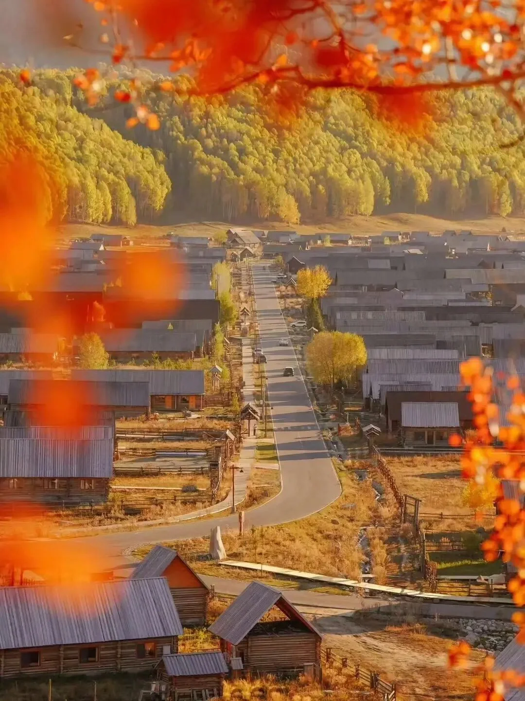 金秋盛宴，9-10月的阿勒泰才是人间天堂🍂