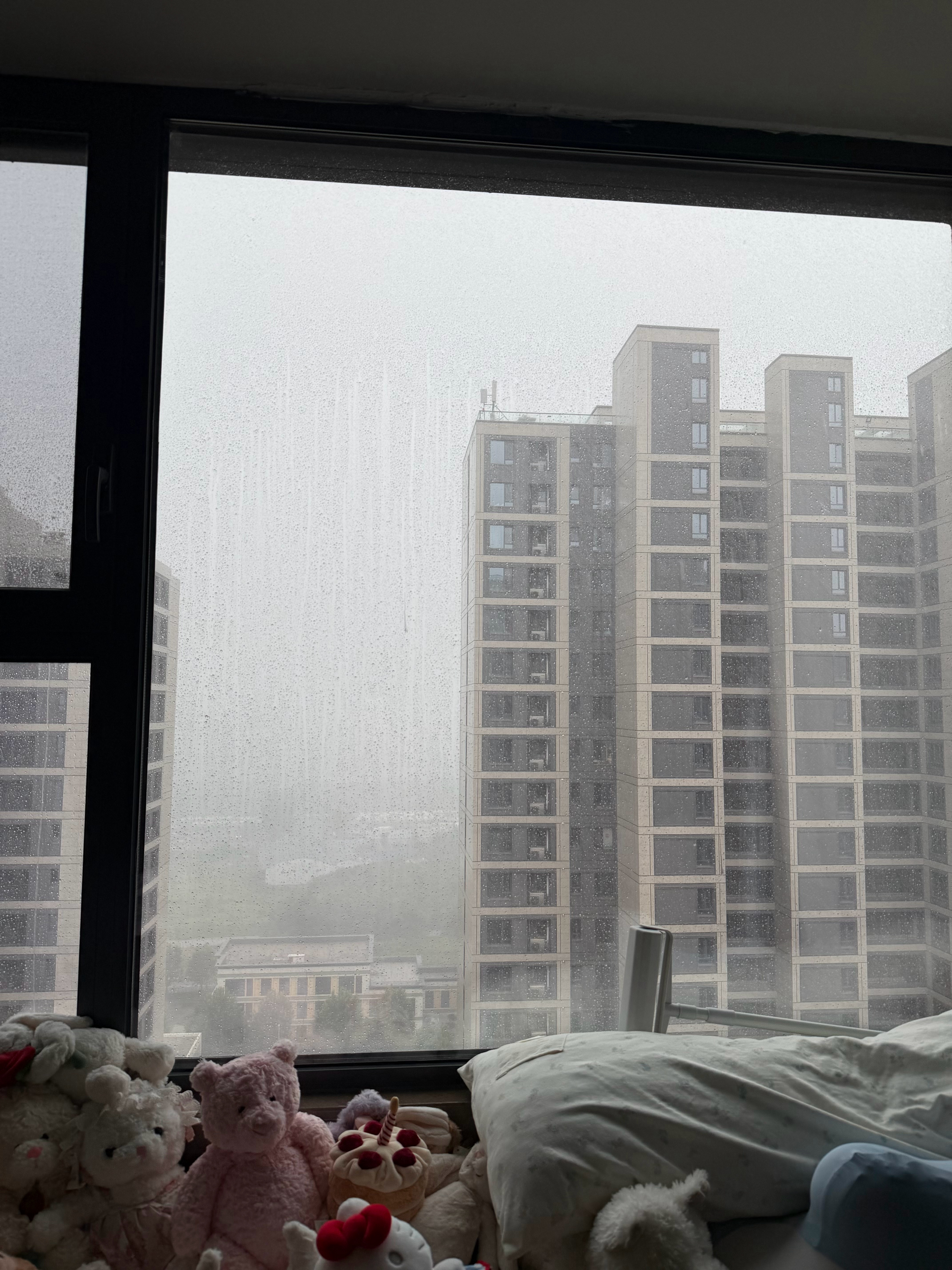 暴雨 宅家 好朋友 火锅