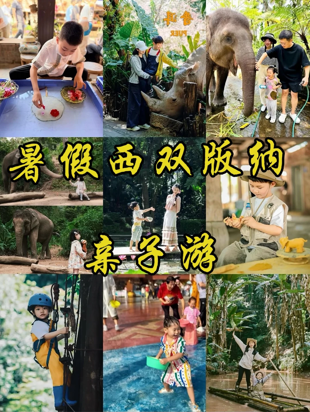 比起三亚，我更爱这个性价比高的西双版纳！