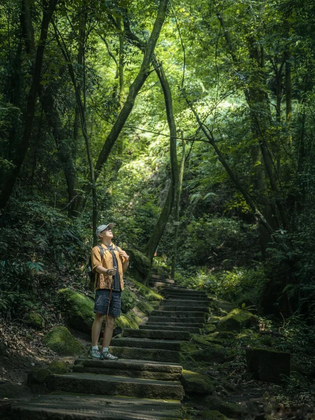 追完央视《远山之约》被眉山丹棱狠狠种草！老牌避暑胜地老峨山森林覆盖率超高，山林清