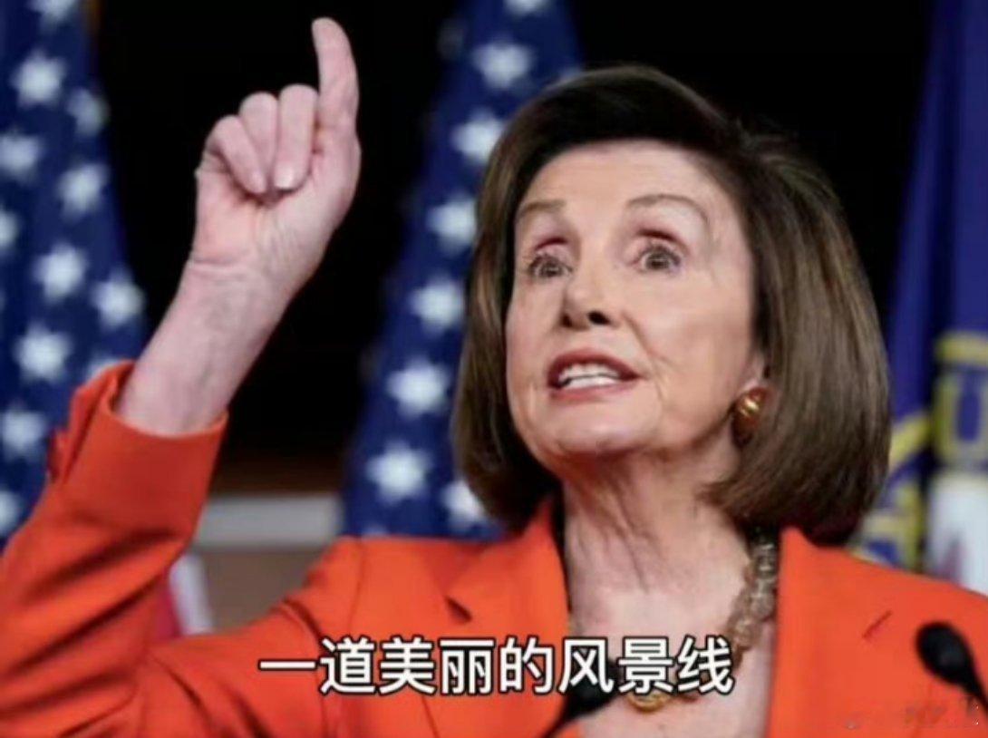 洛杉矶骚乱后纽约也乱了借佩洛西吉言，如今“美丽的风景线”在美国“遍地开花”[偷笑